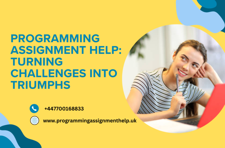 Programming Assignment Help