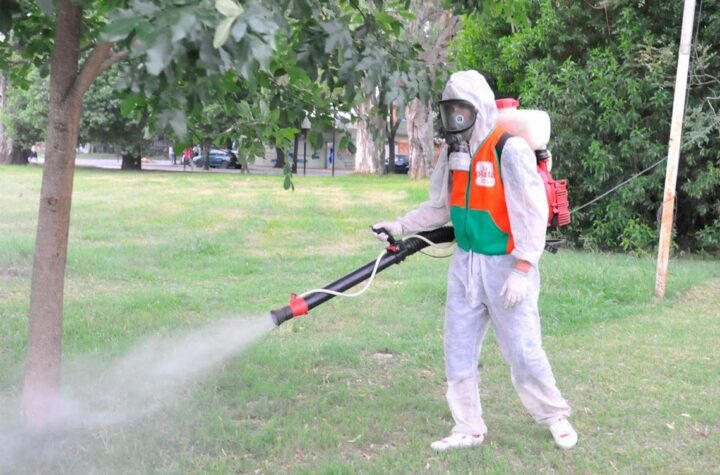 Fumigation Services in Islamabad and pest