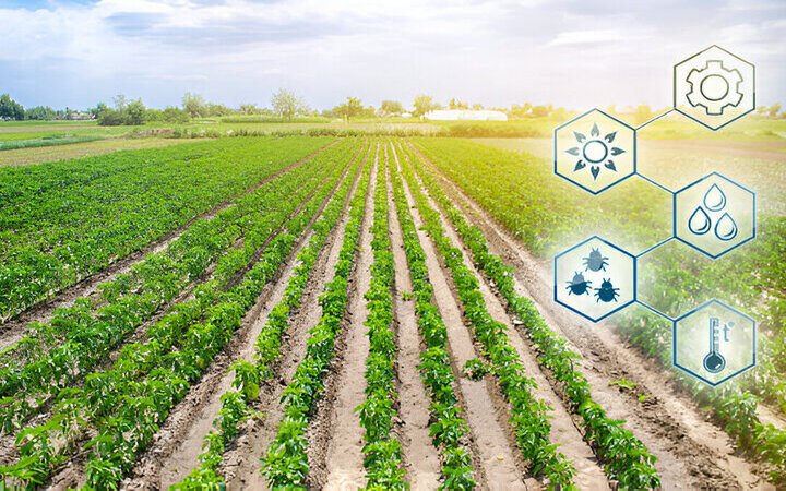 How Agriculture ERP transforms farm management in the UAE