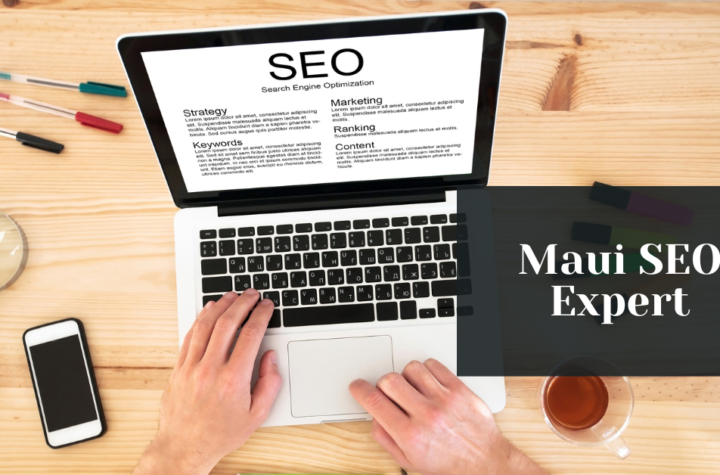 maui seo expert