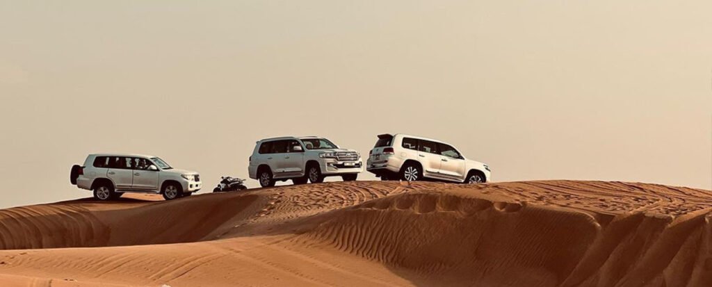 Evening Desert Safari