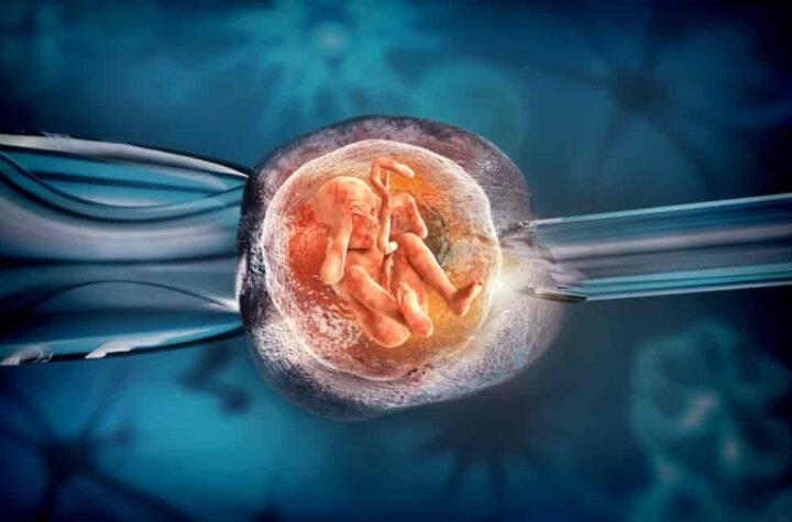 IVF Success Rates