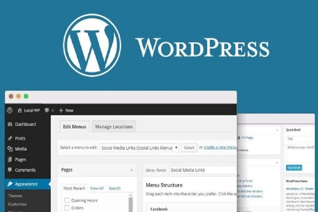 custom WordPress website development services