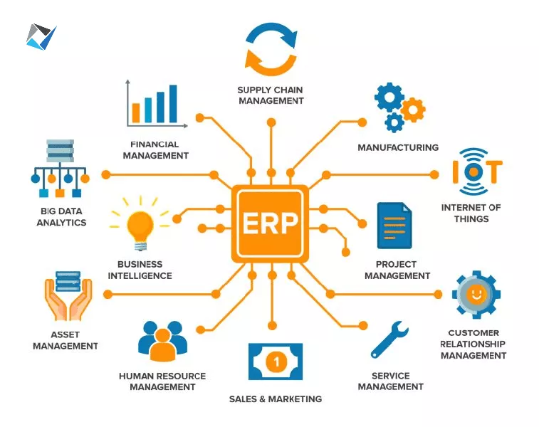 The Power of ERP and HRMS Software