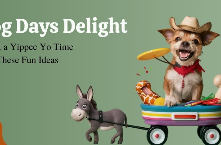 Dog Days Delight Spend a Yippee Yo Time with These Fun Ideas