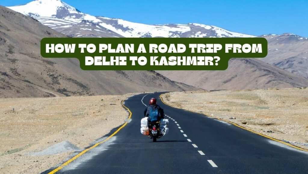 Road trip from Delhi to Kashmir