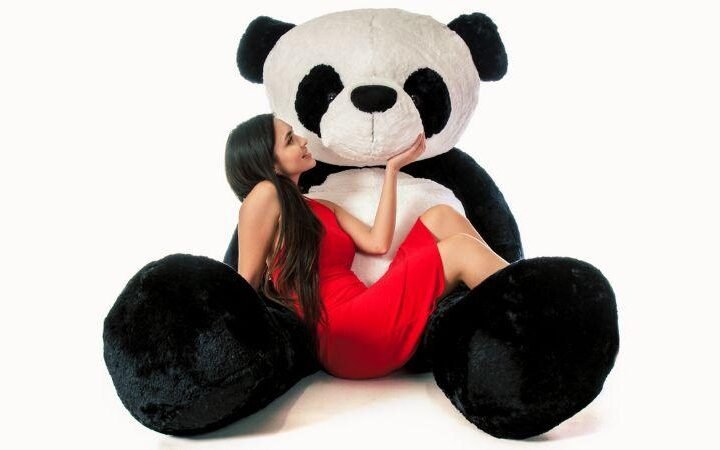 Benefits of Cuddling a Panda Teddy Bear