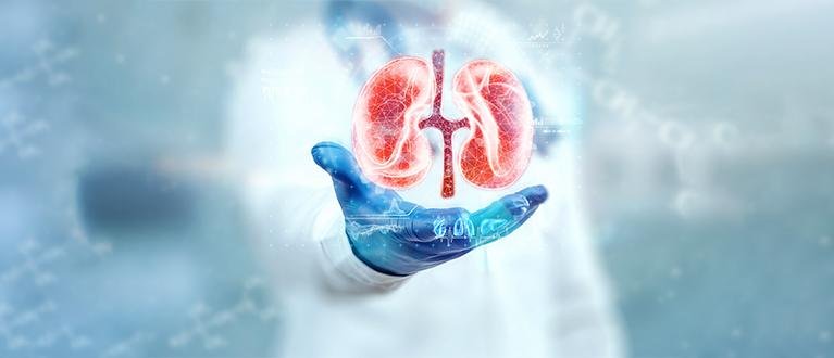Comprehensive Guide to Renal Replacement Therapy: Options and Benefits