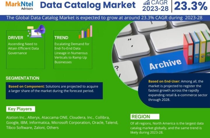 Data Catalog Market