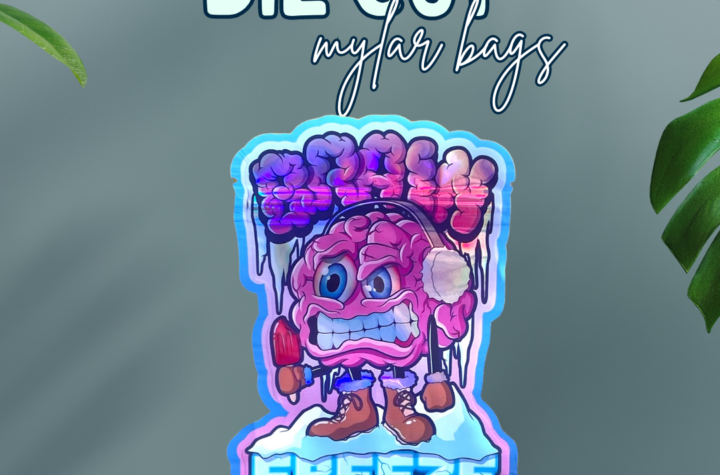 Die Cut Mylar Bags