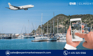 Domestic Tourism Market