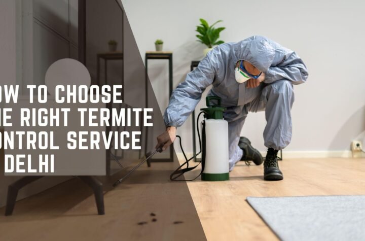 How to Choose the Right Termite Control Service in Delhi