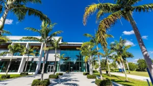 Top Reasons to Study at Lynn University