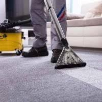 Commercial Carpet Cleaning Staten Island