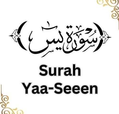 Surah Yaseen PDF
