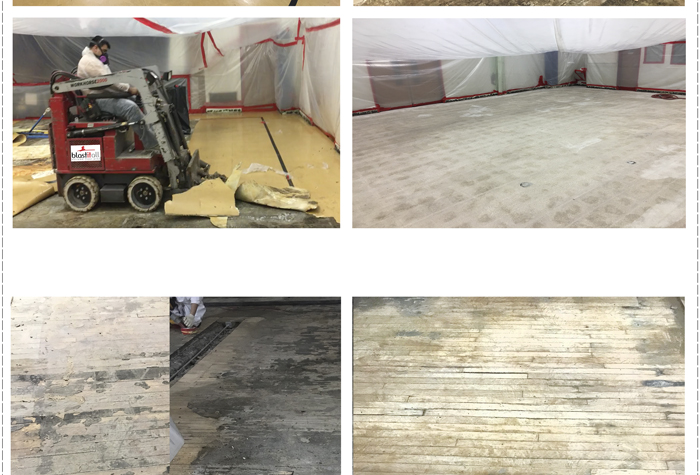 Mercury Abatement Service